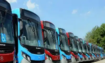 ônibus, transportes, coletivos, transporte, público;