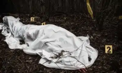 morte-violenta, morte-preventável, homicídio;
