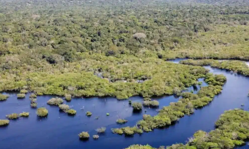 sustentabilidade, saúde, ambiental, ação, humana, demandas, econômicas, meio, ambiente, ecossistema, biodiversidade, poluição, controle, identificação, gerenciamento, tecnologia, limpa, descarte, correto, reciclagem;