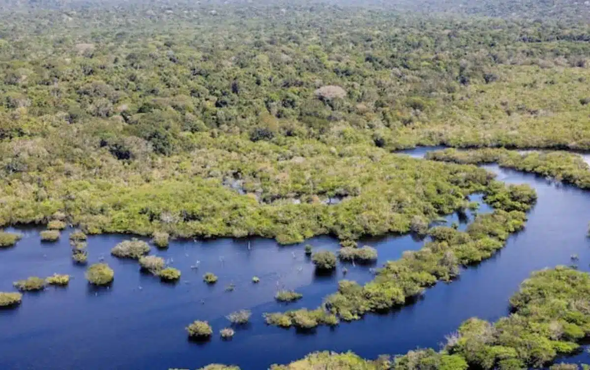 sustentabilidade, saúde, ambiental, ação, humana, demandas, econômicas, meio, ambiente, ecossistema, biodiversidade, poluição, controle, identificação, gerenciamento, tecnologia, limpa, descarte, correto, reciclagem;