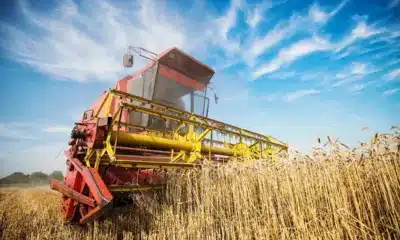 agronegócio, agroindústria, agropecuária;