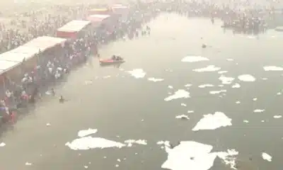 risco, à saúde, espuma, tóxica;