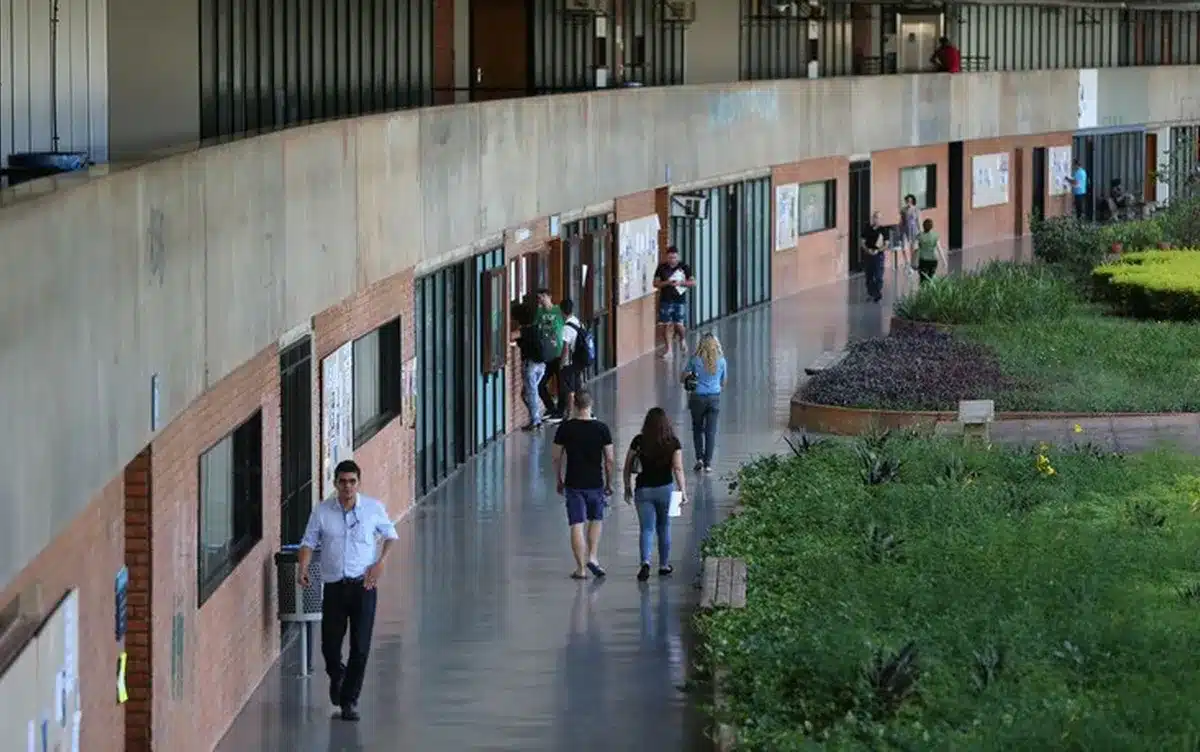 Educação, superior, Ensino, superior ;