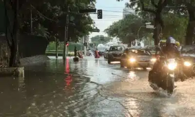 chuva, precipitações, pancadas, de chuva;