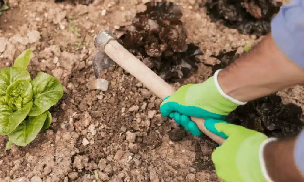 trabalho, escravo contemporâneo, trabalho, análogo ao, de escravo, escravo;