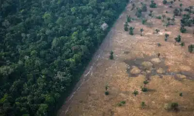 Lei 9.605/98, Lei Ambiental Brasileira, Lei de Crimes Ambientais;