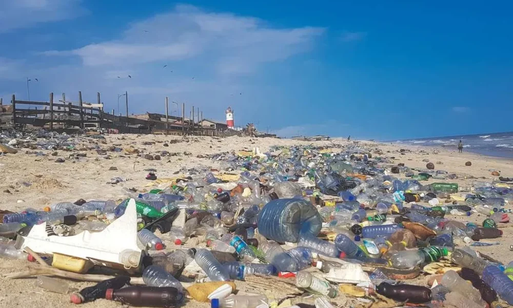 resíduos, plásticos, descarte, dano, errado, ambiental;