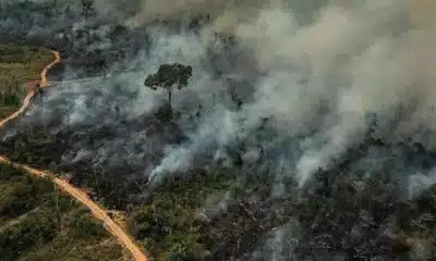 mudanças, climáticas, catástrofe, climática, desequilíbrio, climático;